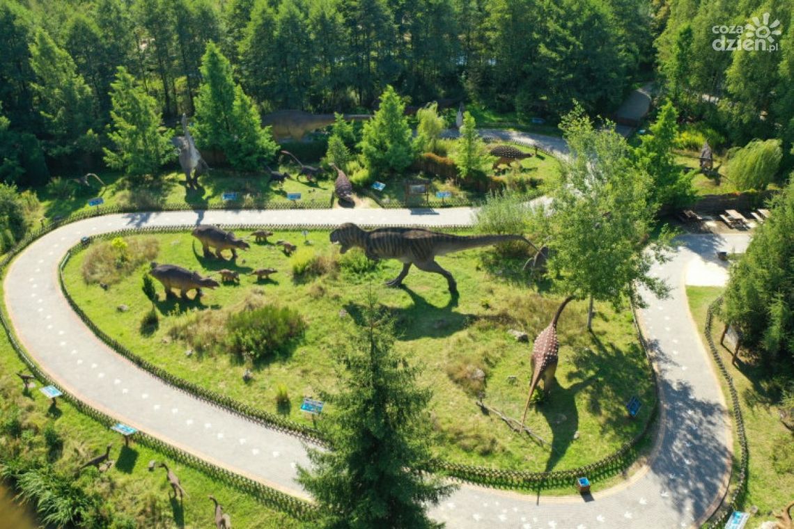 JuraPark w Bałtowie najpopularniejszą atrakcją w województwie świętokrzyskim JuraPark w Bałtowie najpopularniejszą atrakcją w województwie świętokrzyskim