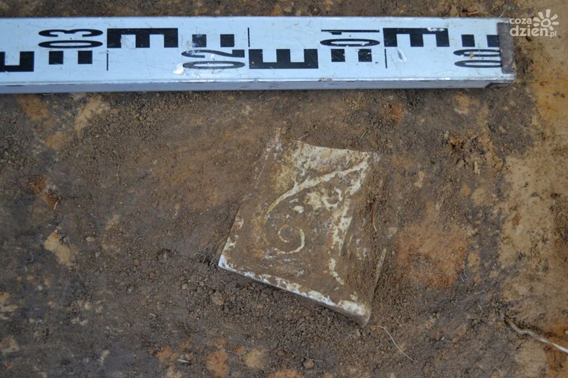 Kamil Kaptur: Częstocice cały czas zaskakują Kamil Kaptur: Częstocice cały czas zaskakują