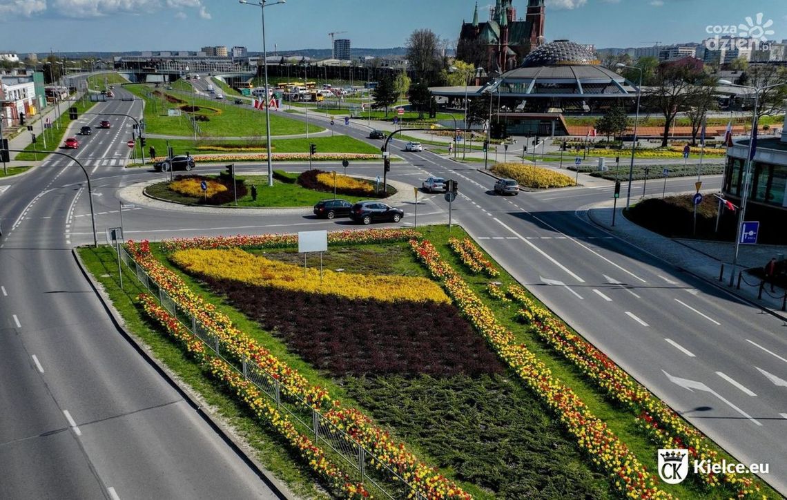 KBO 2023. Powstała lista projektów KBO 2023. Powstała lista projektów