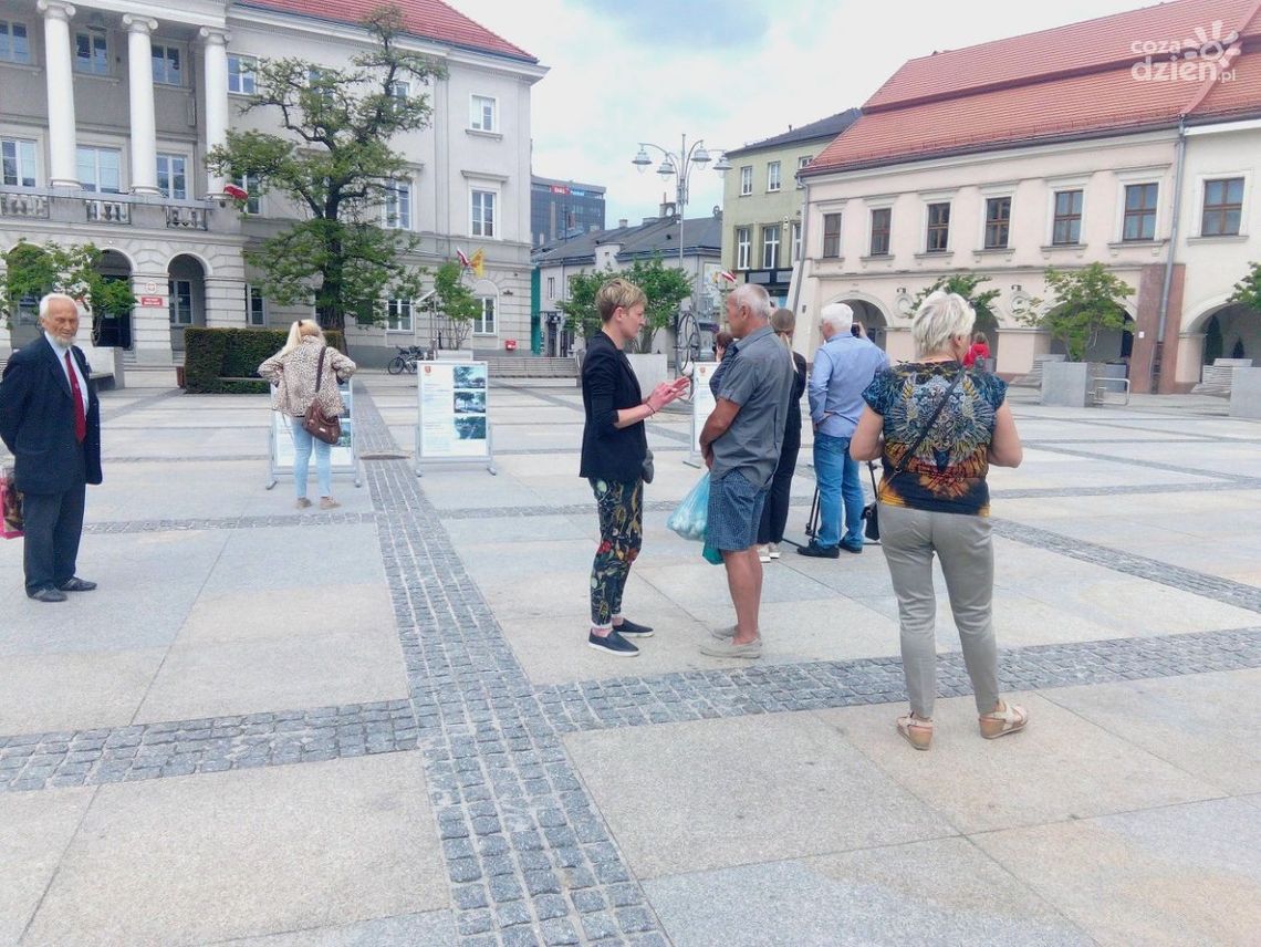 Kielce „idą w zielone”. W mieście ma pojawić się więcej roślinności Kielce „idą w zielone”. W mieście ma pojawić się więcej roślinności