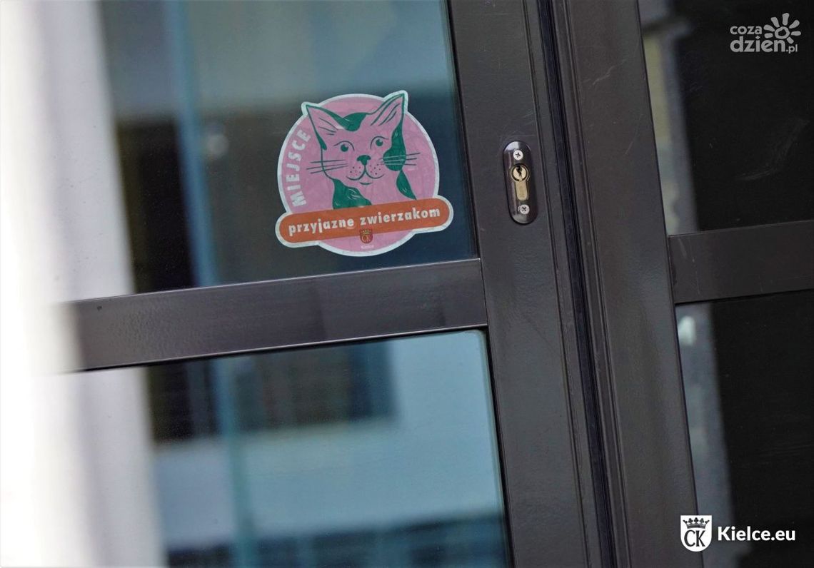 Kielecki Ratusz dołączył do sieci miejsc przyjaznych zwierzakom Kielecki Ratusz dołączył do sieci miejsc przyjaznych zwierzakom