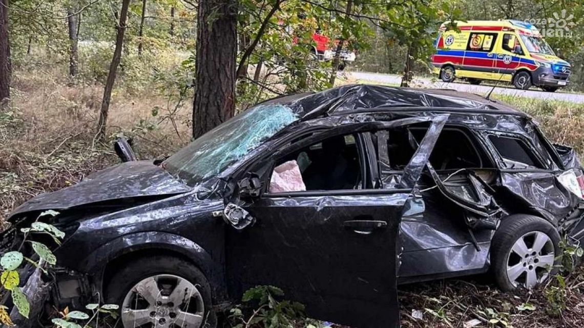 Kierowca zabrany do szpitala po zderzeniu z sarną Kierowca zabrany do szpitala po zderzeniu z sarną