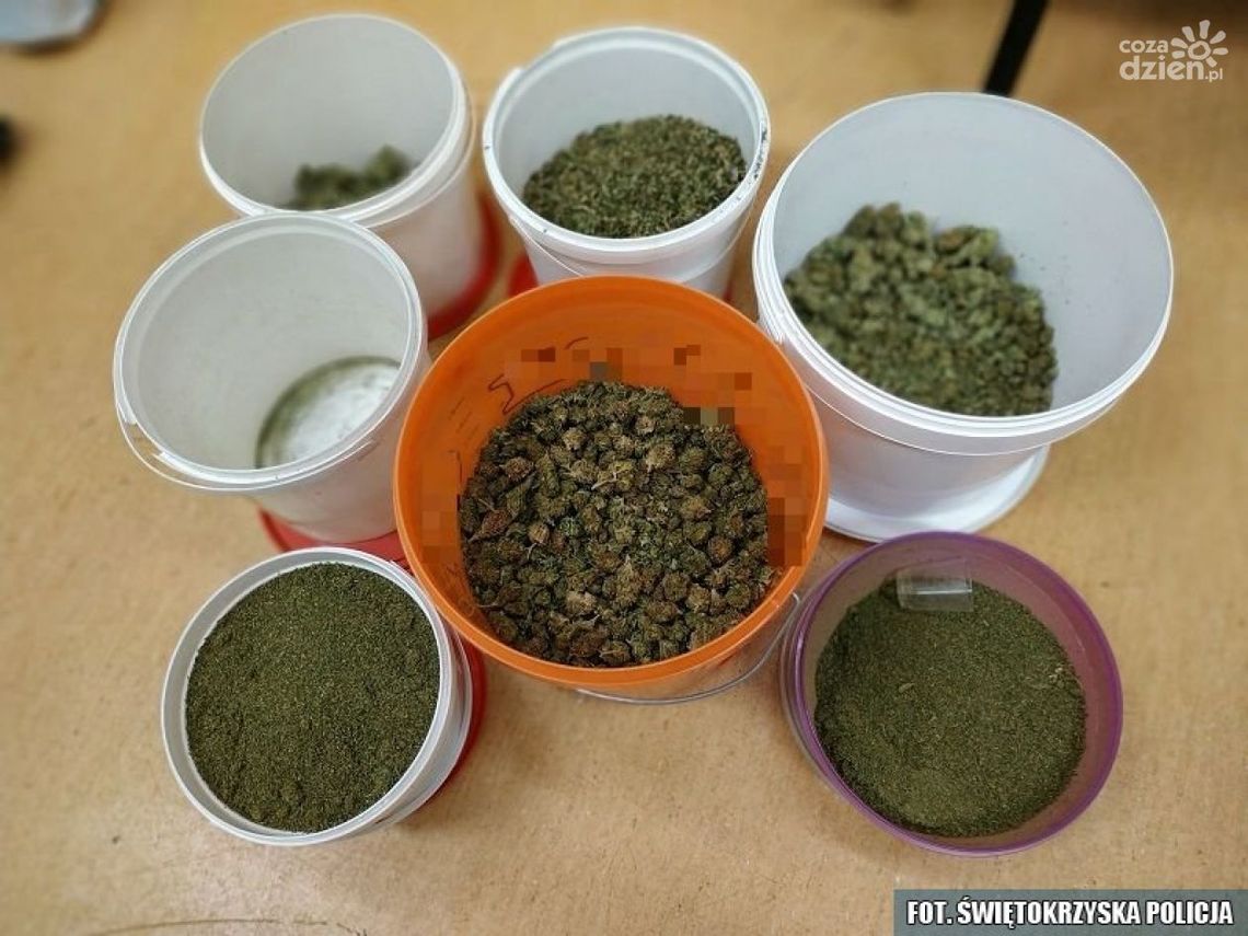 Kilogramy narkotyków i broń u 48-latka z Ostrowca Kilogramy narkotyków i broń u 48-latka z Ostrowca