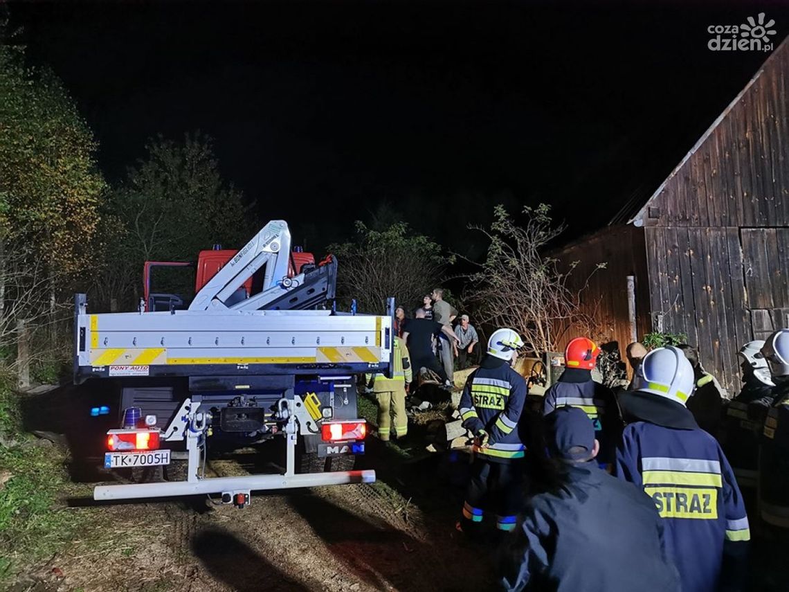 Klacz uwięziona w silosie