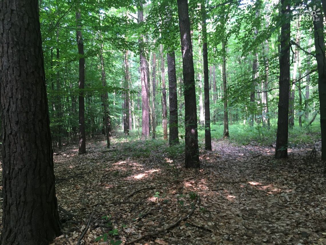 Kleszcze ciągle groźne Kleszcze ciągle groźne