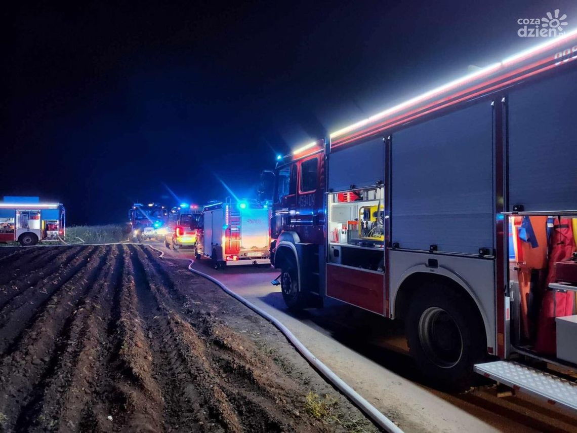 Kobieta zginęła w pożarze w Zajączkowicach Kobieta zginęła w pożarze w Zajączkowicach