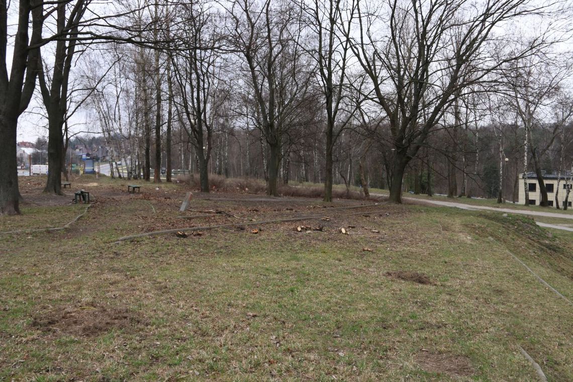 Kolejne strefy zieleni w Starachowicach Kolejne strefy zieleni w Starachowicach