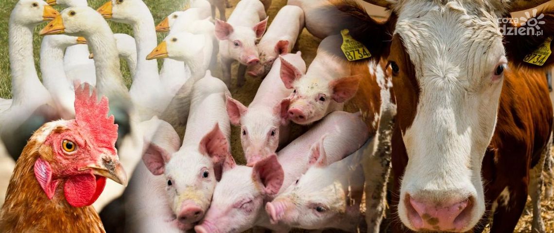 Kolejny nabór na „Zarządzanie ryzykiem” Kolejny nabór na „Zarządzanie ryzykiem”