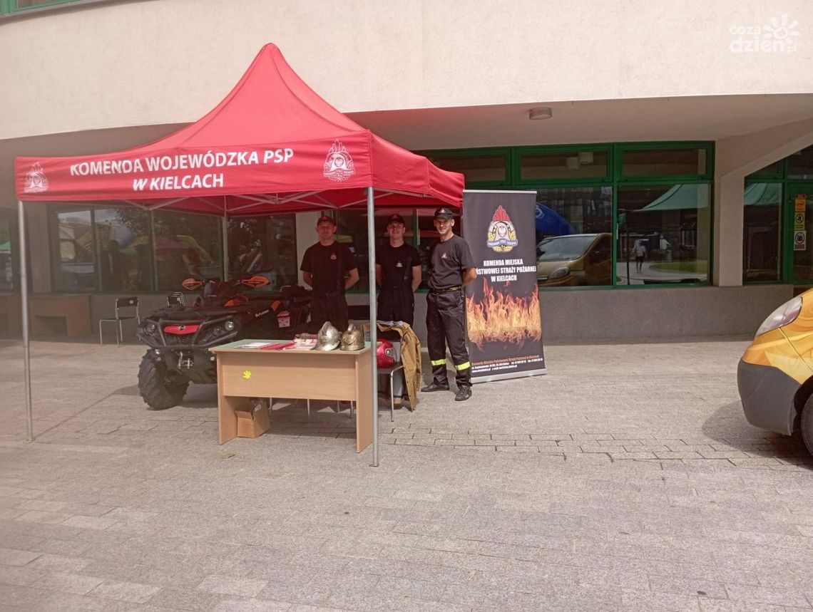 Kolejny Piknik 800+ Kolejny Piknik 800+