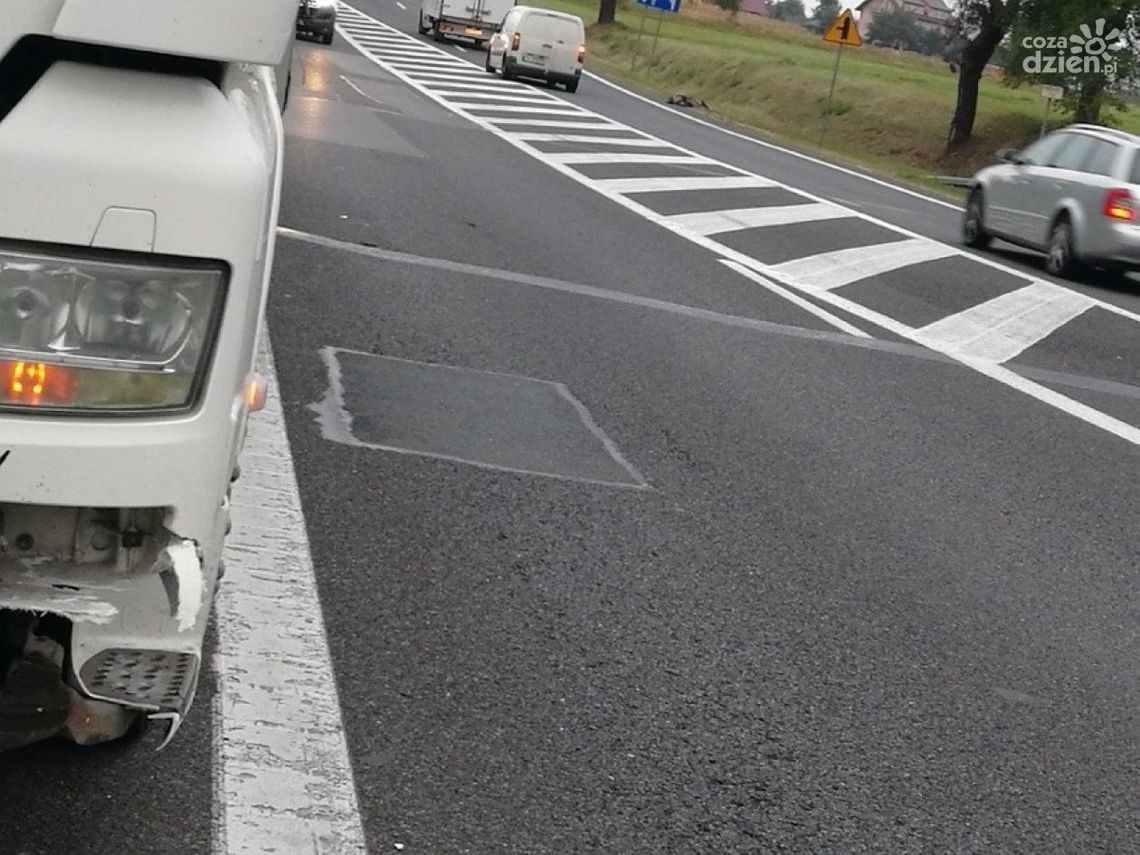 Kolizja z dzikami, cztery zwierzęta padły na miejscu Kolizja z dzikami, cztery zwierzęta padły na miejscu