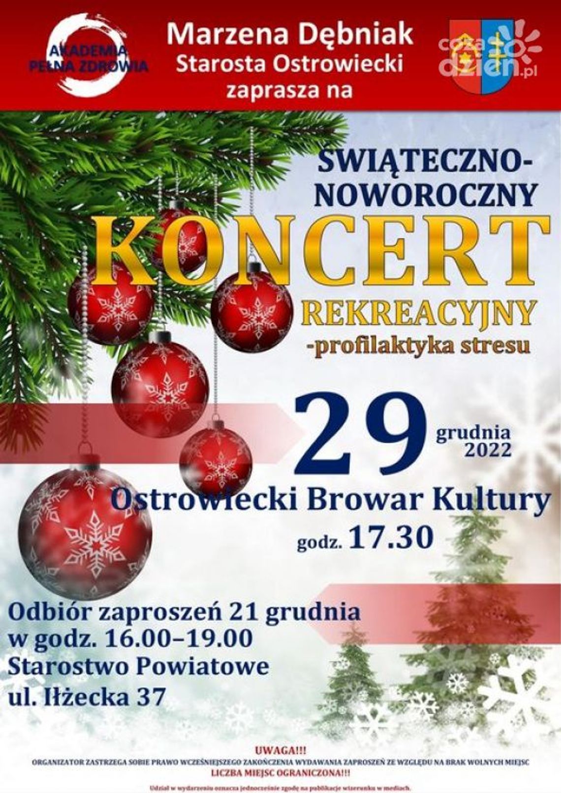 Koncert relaksacyjny na zakończenie roku