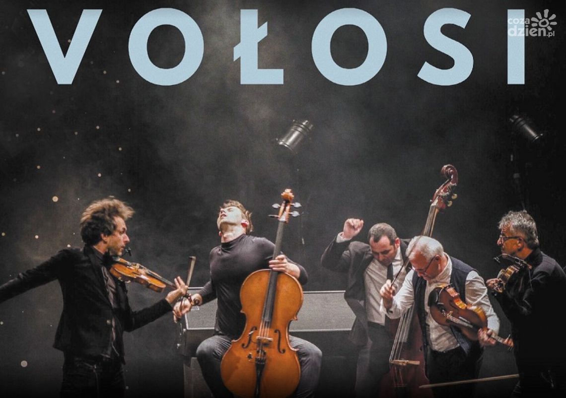 Koncert zespołu "Vołosi" w WDK