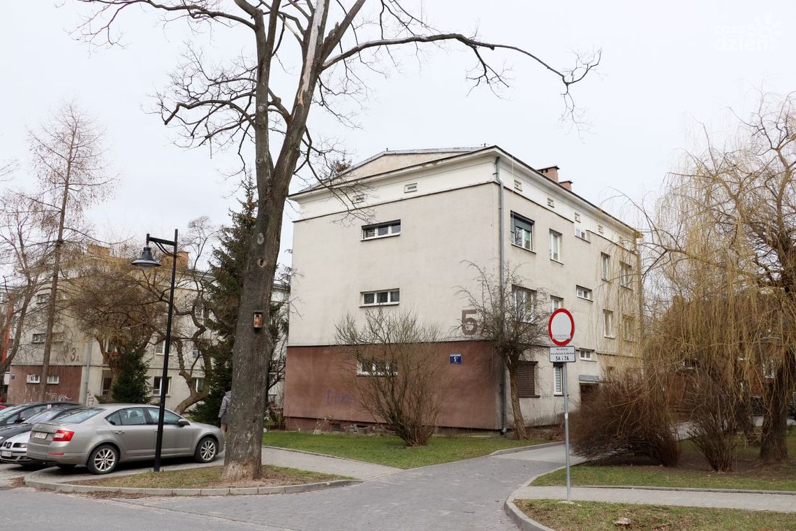 Konieczne usunięcie dwóch drzew na ul. Kostki