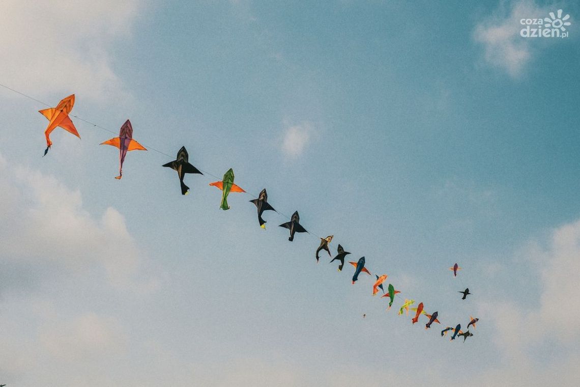 Konkurs na Najbardziej Spektakularny Latawiec w ramach II Festiwalu Wiatru