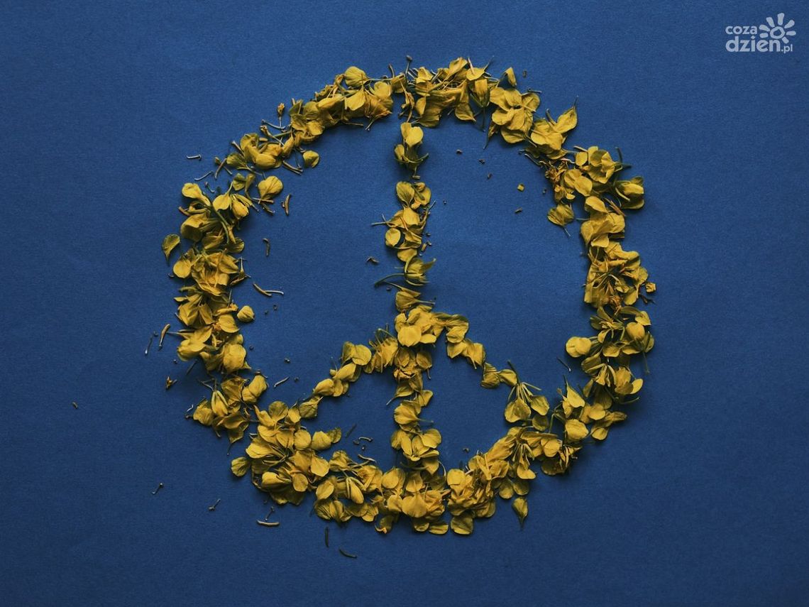 Konkurs Narodowego Instytutu Wolności "First to help"