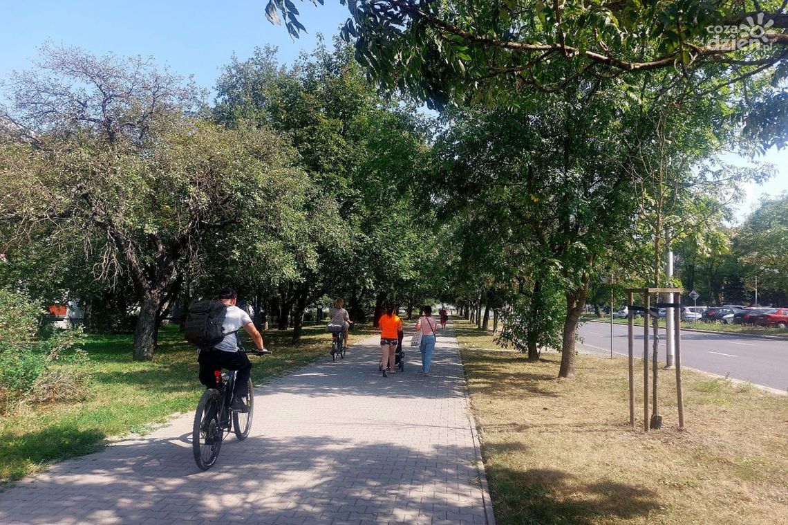 Konsultacje społeczne dotyczące dróg rowerowych w Kielcach: mieszkańcy mają głos Konsultacje społeczne dotyczące dróg rowerowych w Kielcach: mieszkańcy mają głos