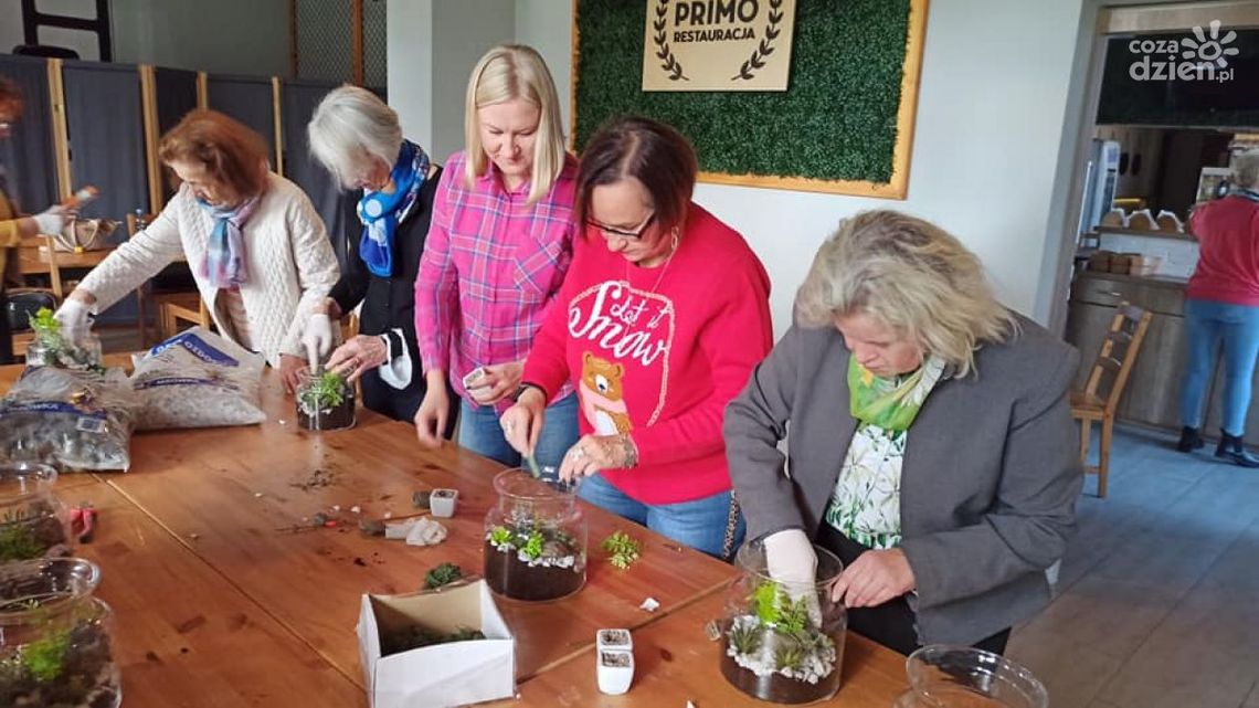 Korzenie i skrzydła Korzenie i skrzydła