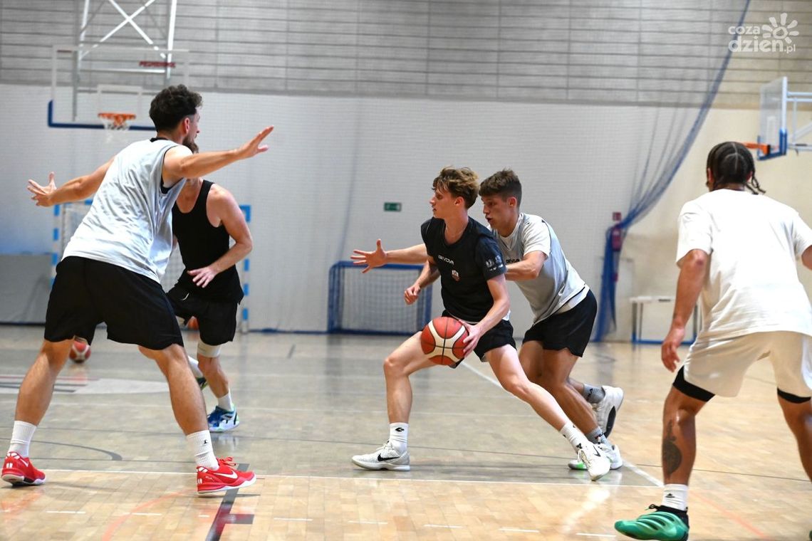 Koszykarze UJK Kielce szykują się do sezonu II ligi