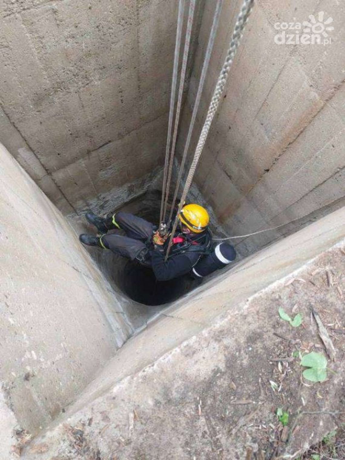 Koza utknęła w studni. Uratowali ją strażacy Koza utknęła w studni. Uratowali ją strażacy