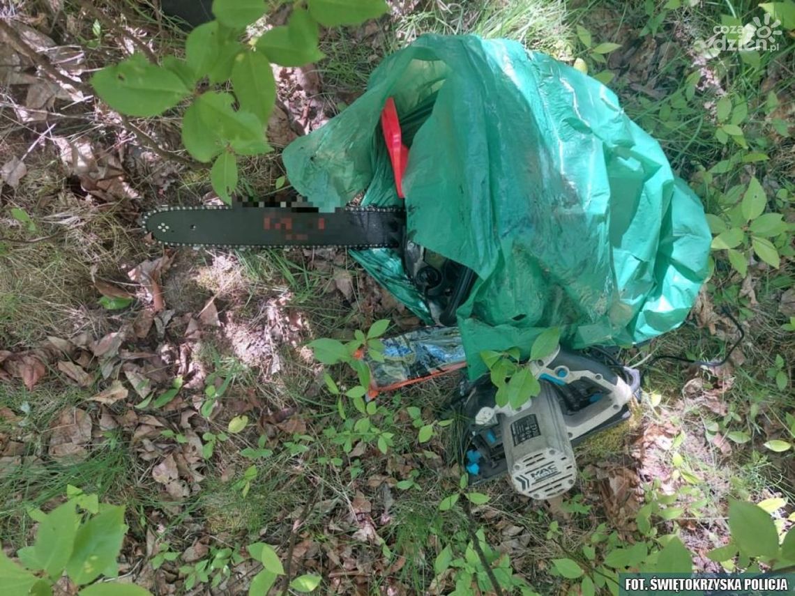 Kradzież na zielonym tle Kradzież na zielonym tle