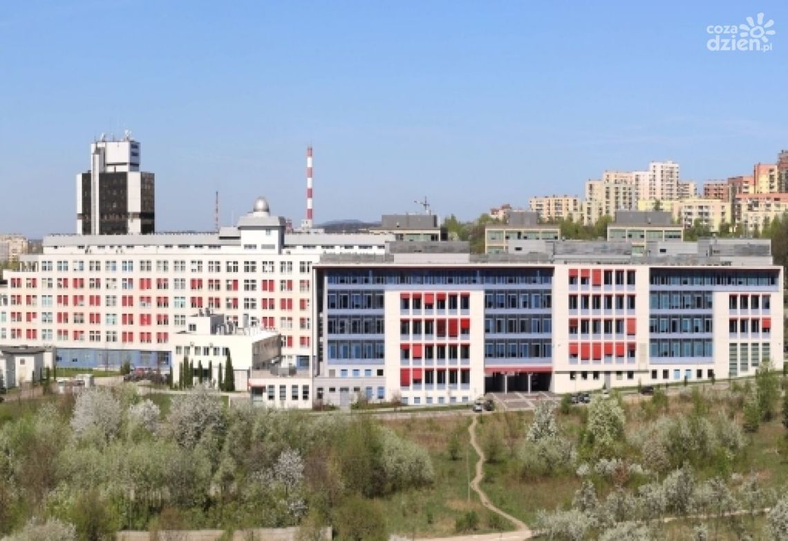 Kreator kariery Kreator kariery