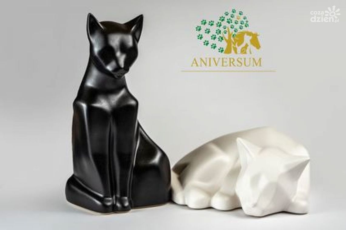 Krematorium zwierząt w Sieradowicach w gminie Bodzentyn. Pierwsze takie miejsce w regionie Krematorium zwierząt w Sieradowicach w gminie Bodzentyn. Pierwsze takie miejsce w regionie