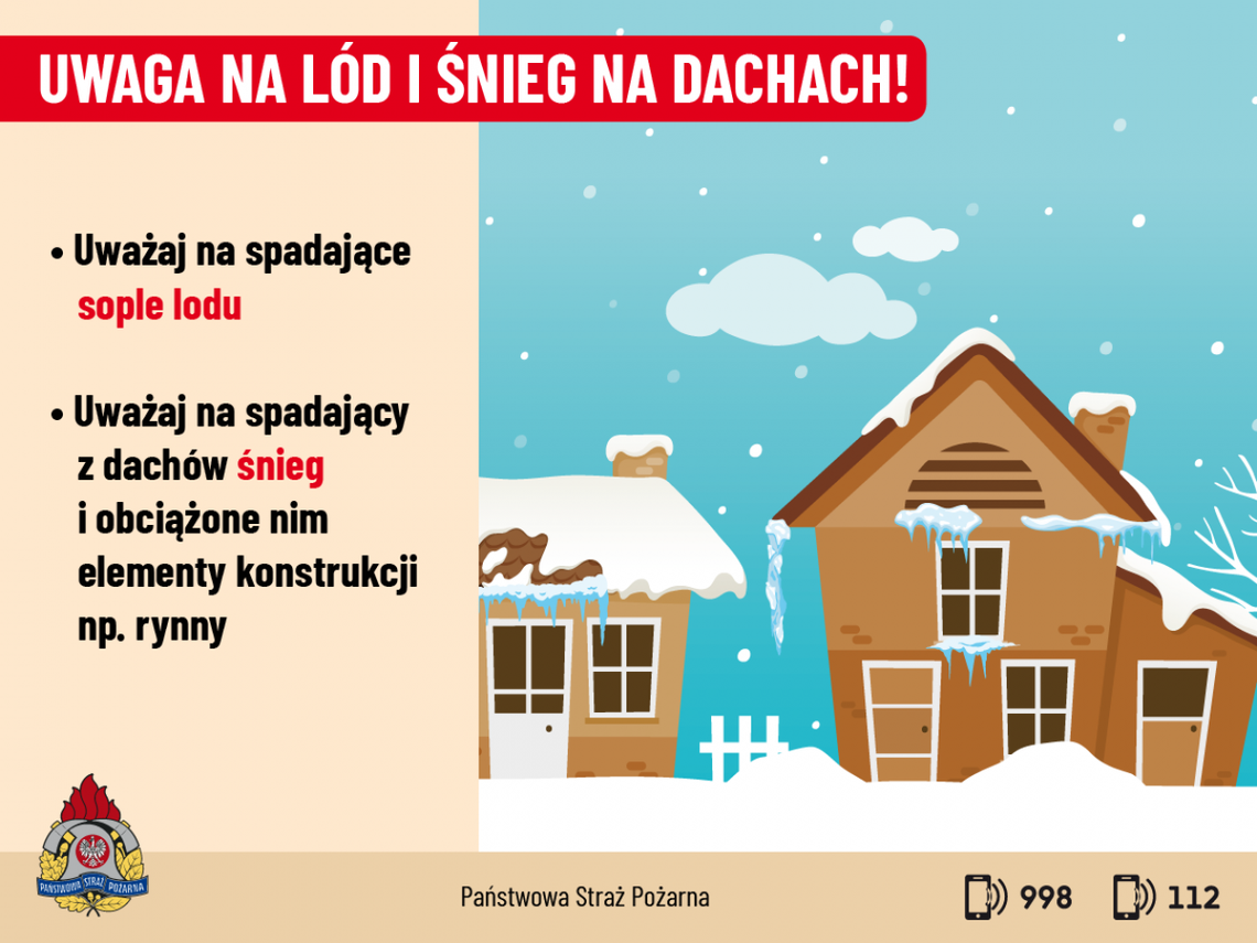 Krowa straciła życie przez zawalenie dachu Krowa straciła życie przez zawalenie dachu