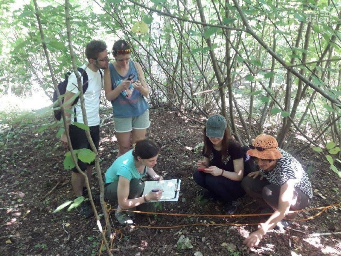 Krzemionki. Studenci z Łodzi będą je badać Krzemionki. Studenci z Łodzi będą je badać