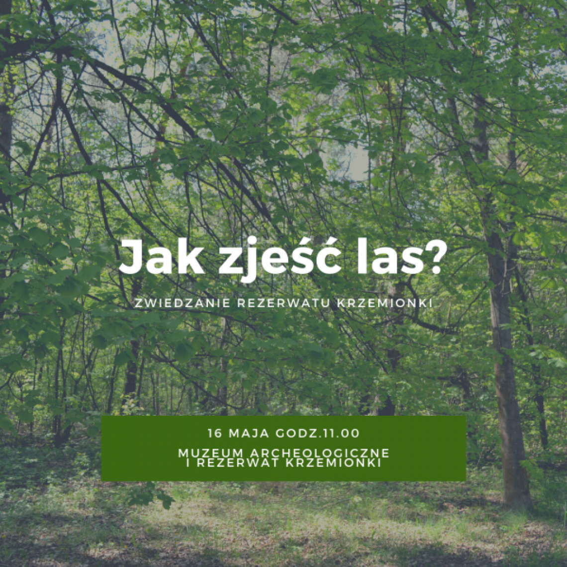 Krzemionki. Wraca cykl sobota w muzeum