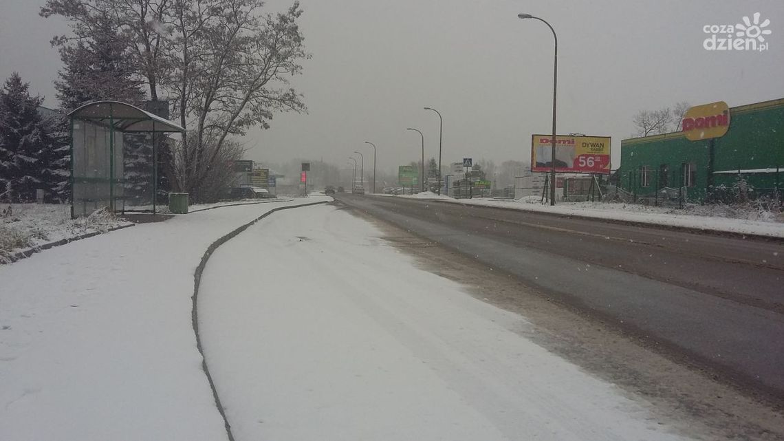 Krzysztof Kowalski: Zima nie jest w stanie nas zaskoczyć, od lat umiejętnie sobie z nią radzimy Krzysztof Kowalski: Zima nie jest w stanie nas zaskoczyć, od lat umiejętnie sobie z nią radzimy