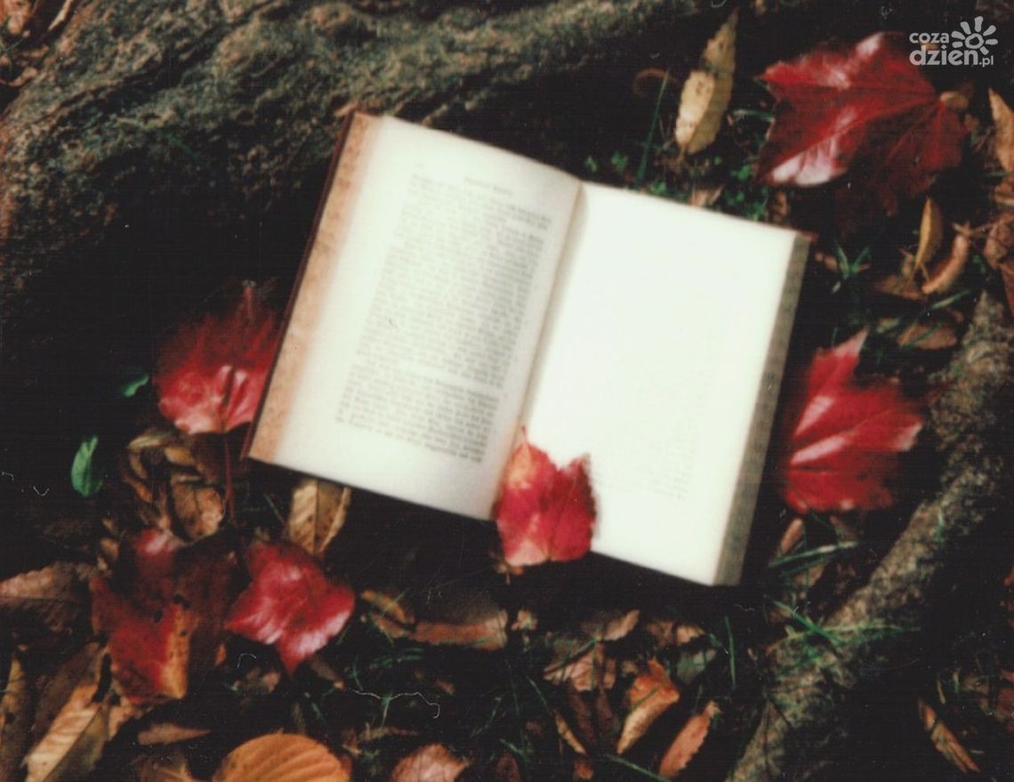 „Książka za worek śmieci”. Przyłącz się do akcji w Kielcach