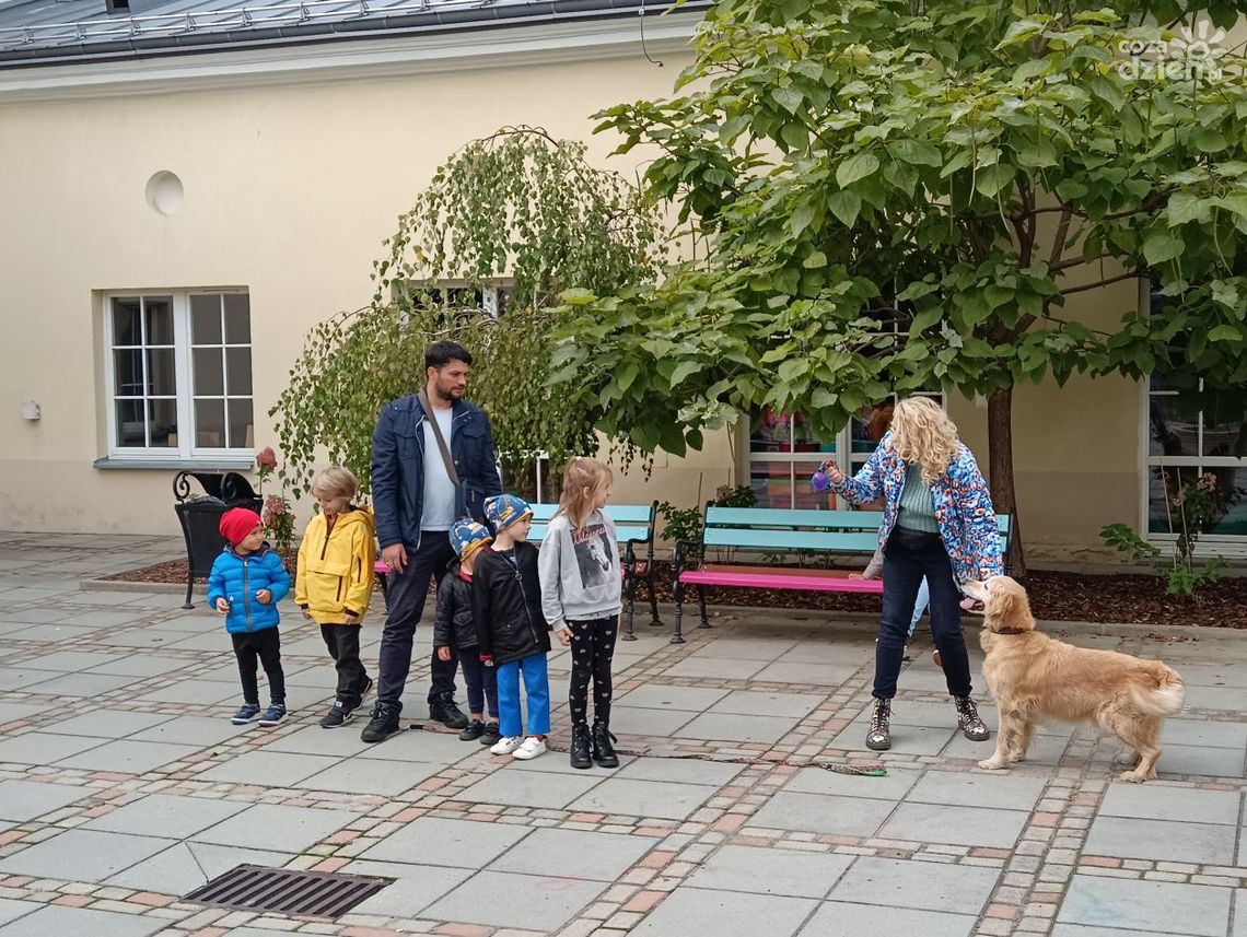 Kurs głaskania Kurs głaskania