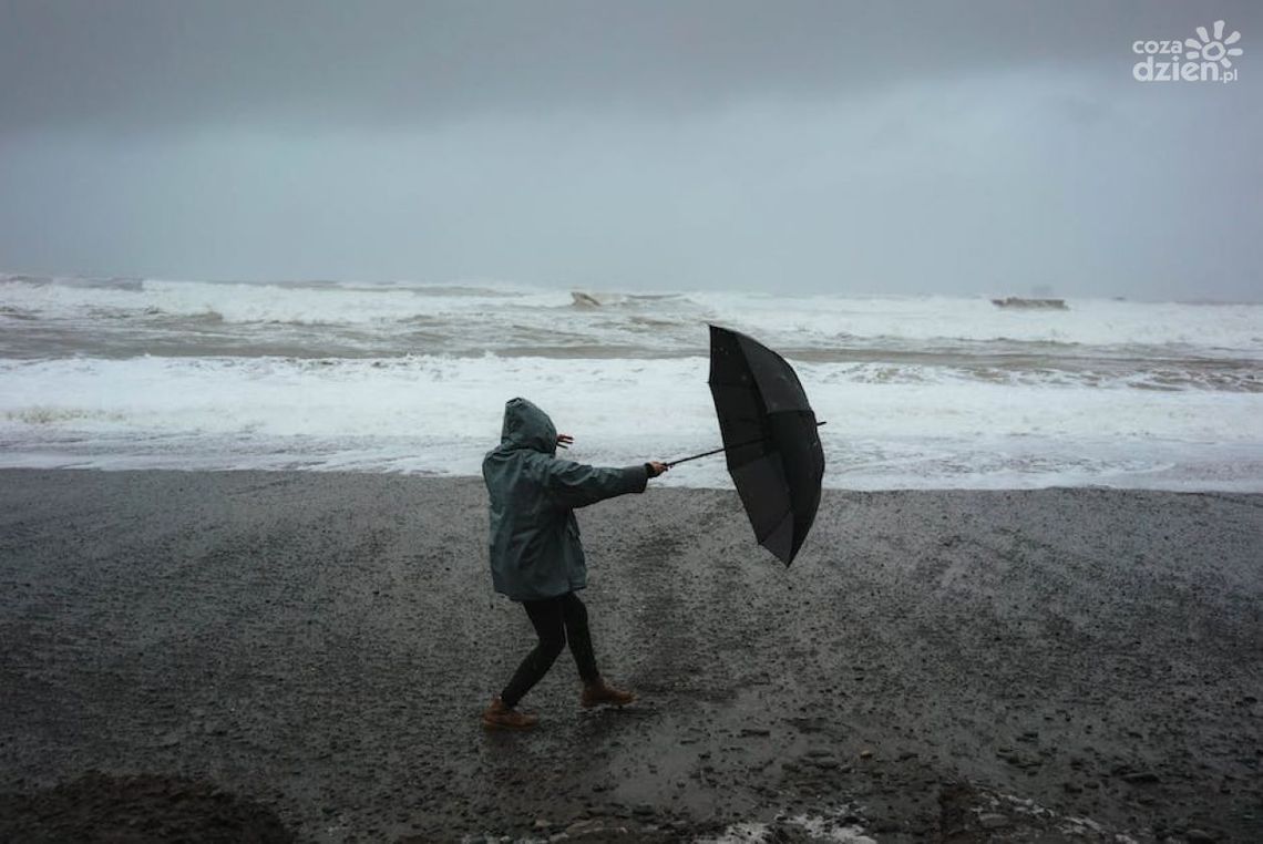 Kurtki, które sprawdzą się nad morzem Kurtki, które sprawdzą się nad morzem