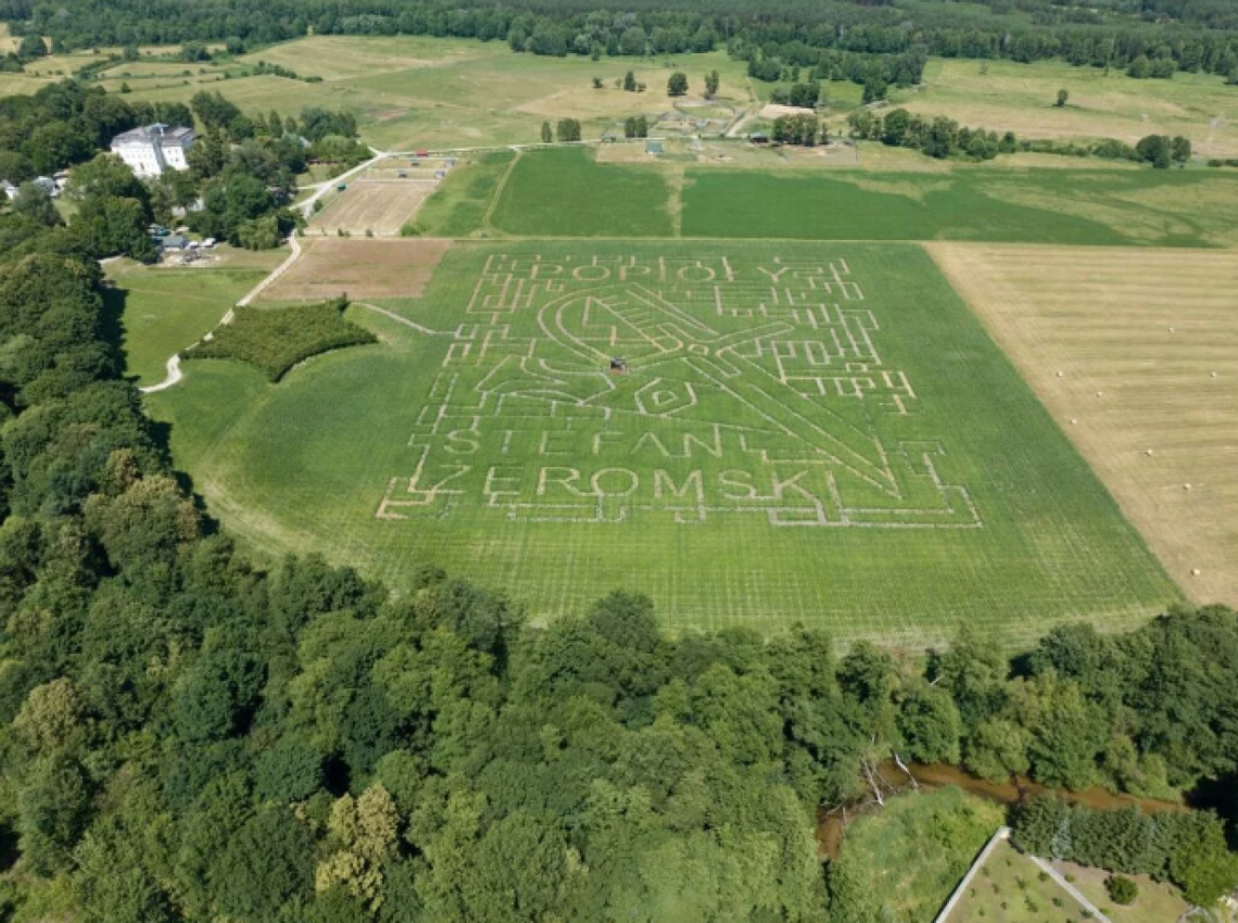 Labirynt w kukurydzy już otwarty! Tym razem w kształcie miecza Labirynt w kukurydzy już otwarty! Tym razem w kształcie miecza