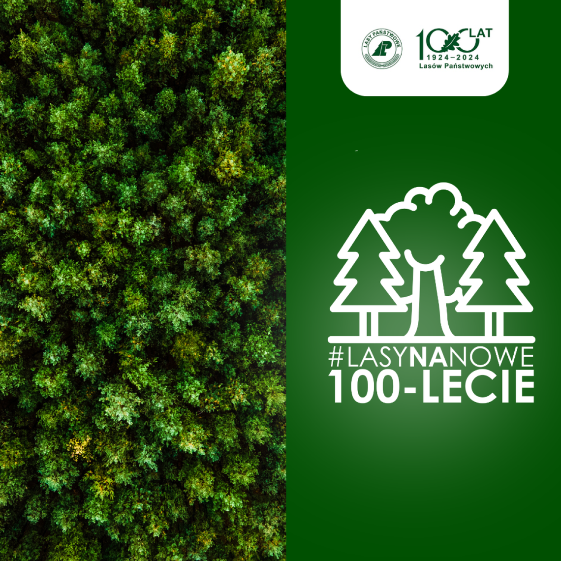 „Lasy na nowe 100-lecie” – wielka akcja sadzenia drzew z okazji Międzynarodowego Dnia Lasów „Lasy na nowe 100-lecie” – wielka akcja sadzenia drzew z okazji Międzynarodowego Dnia Lasów