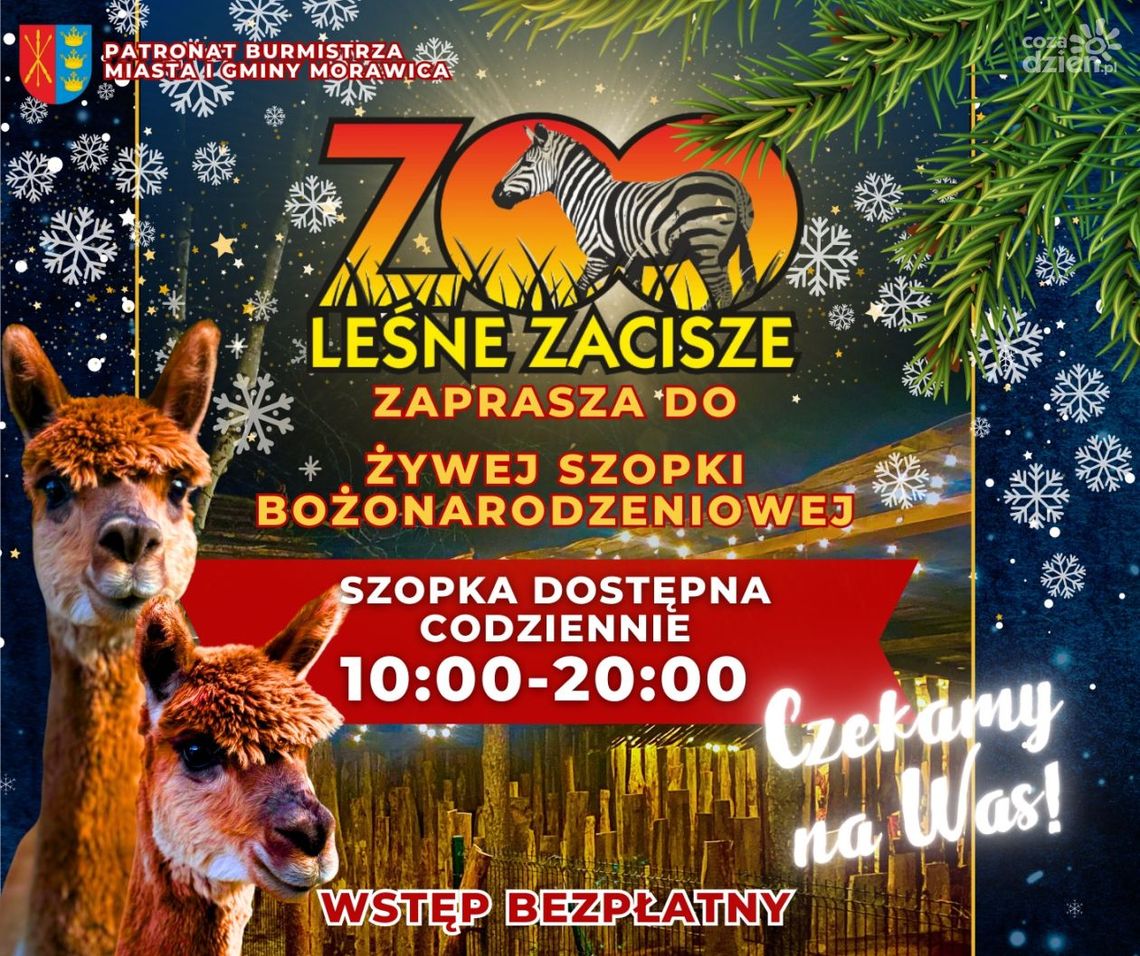 Leśne Zacisze zaprasza do odwiedzania szopki z żywymi zwierzętami Leśne Zacisze zaprasza do odwiedzania szopki z żywymi zwierzętami