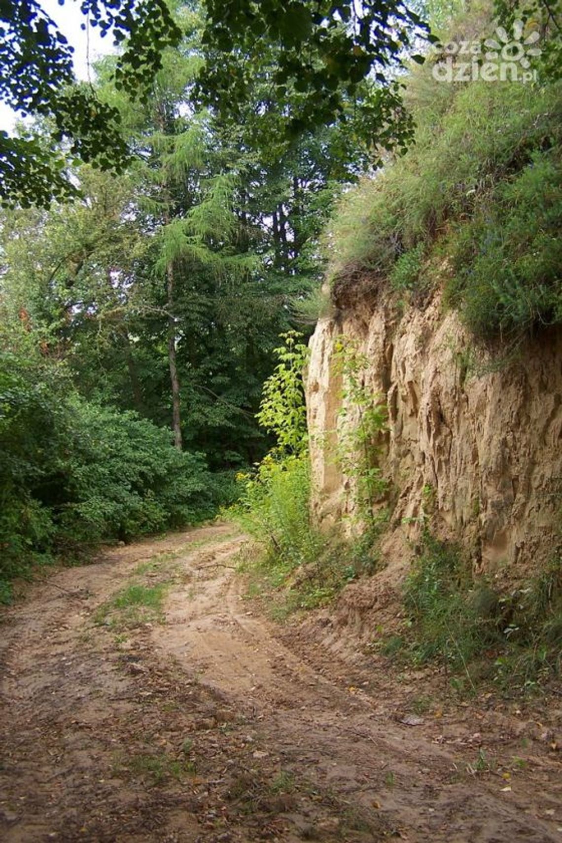 Lessowe drogi będą zabezpieczone Lessowe drogi będą zabezpieczone