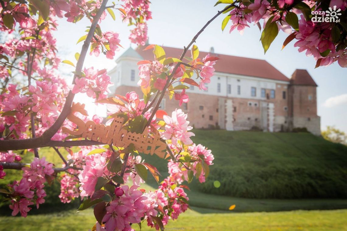 "Letnie Czwartki" w Muzeum Zamkowym w Sandomierzu "Letnie Czwartki" w Muzeum Zamkowym w Sandomierzu