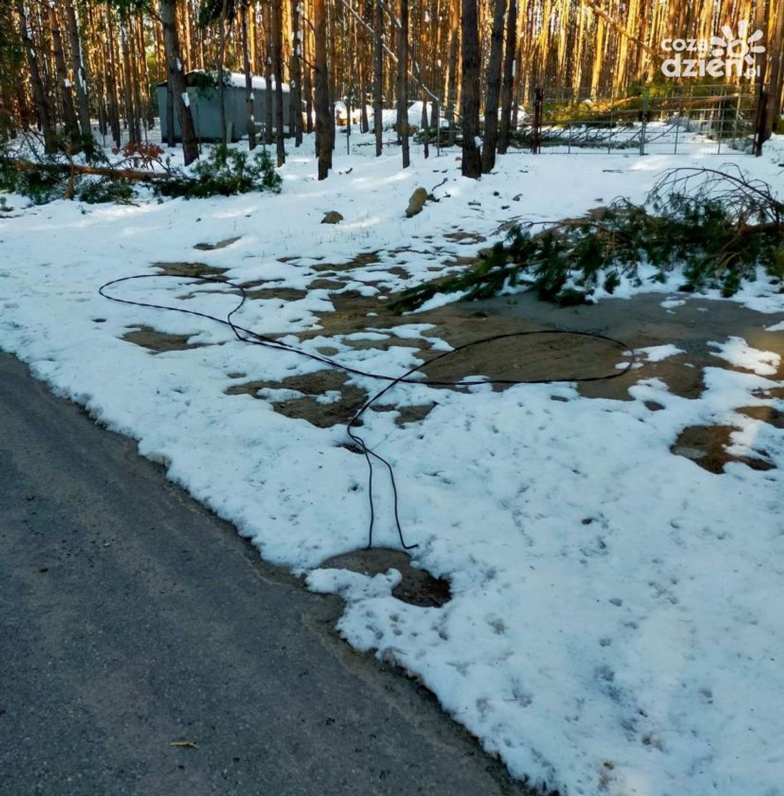 Linie energetyczne zrywane pod ciężarem mokrego śniegu Linie energetyczne zrywane pod ciężarem mokrego śniegu