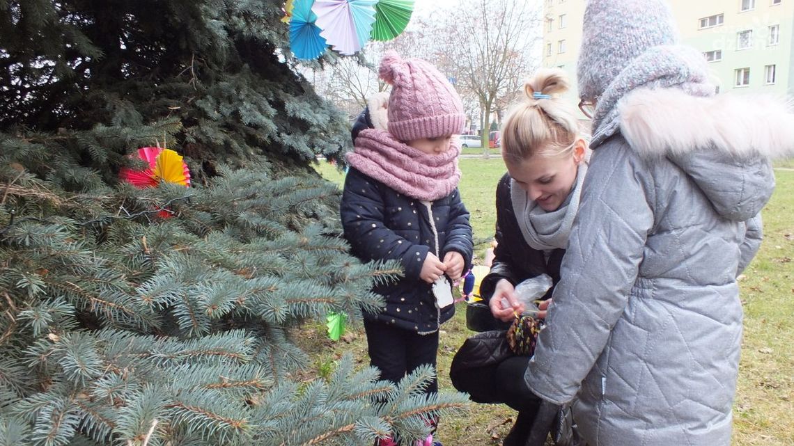 Magiczny czas na Ogrodach