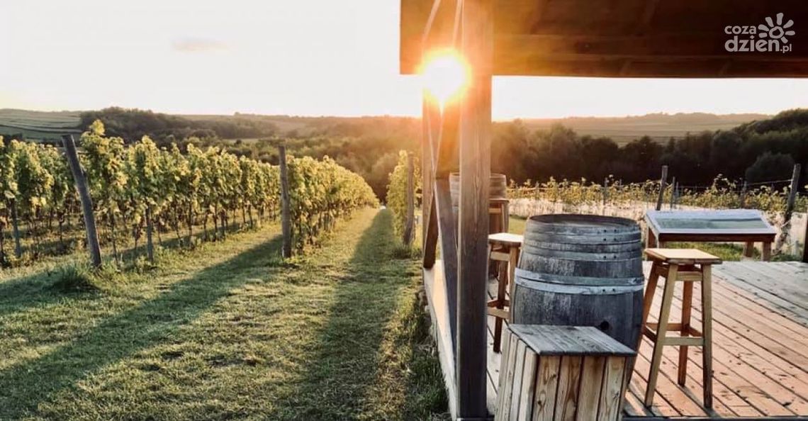 Majówka w winnicy Terra Majówka w winnicy Terra