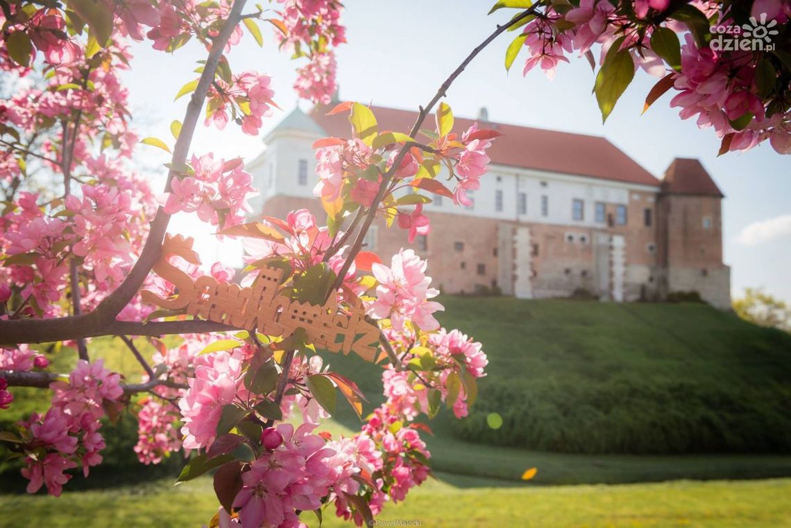 Majówka w Zamku Królewskim Majówka w Zamku Królewskim