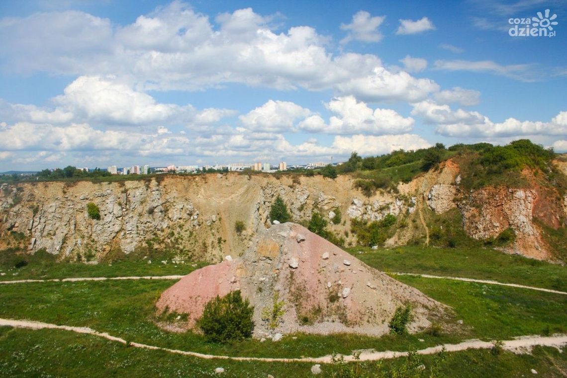 Makabryczne odkrycie w rezerwacie Wietrznia w Kielcach – policja prowadzi śledztwo Makabryczne odkrycie w rezerwacie Wietrznia w Kielcach – policja prowadzi śledztwo