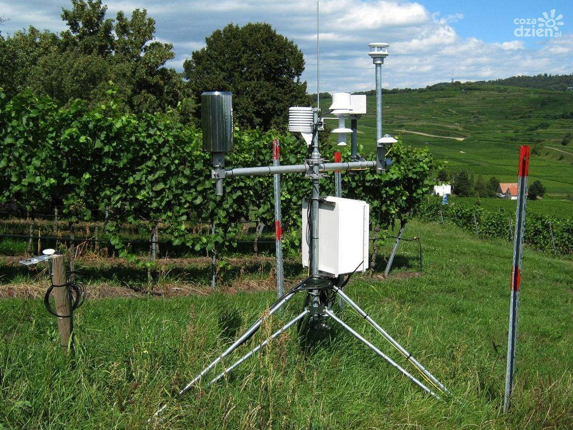 Meteorolodzy i Służby Hydrometeorologiczne świętują