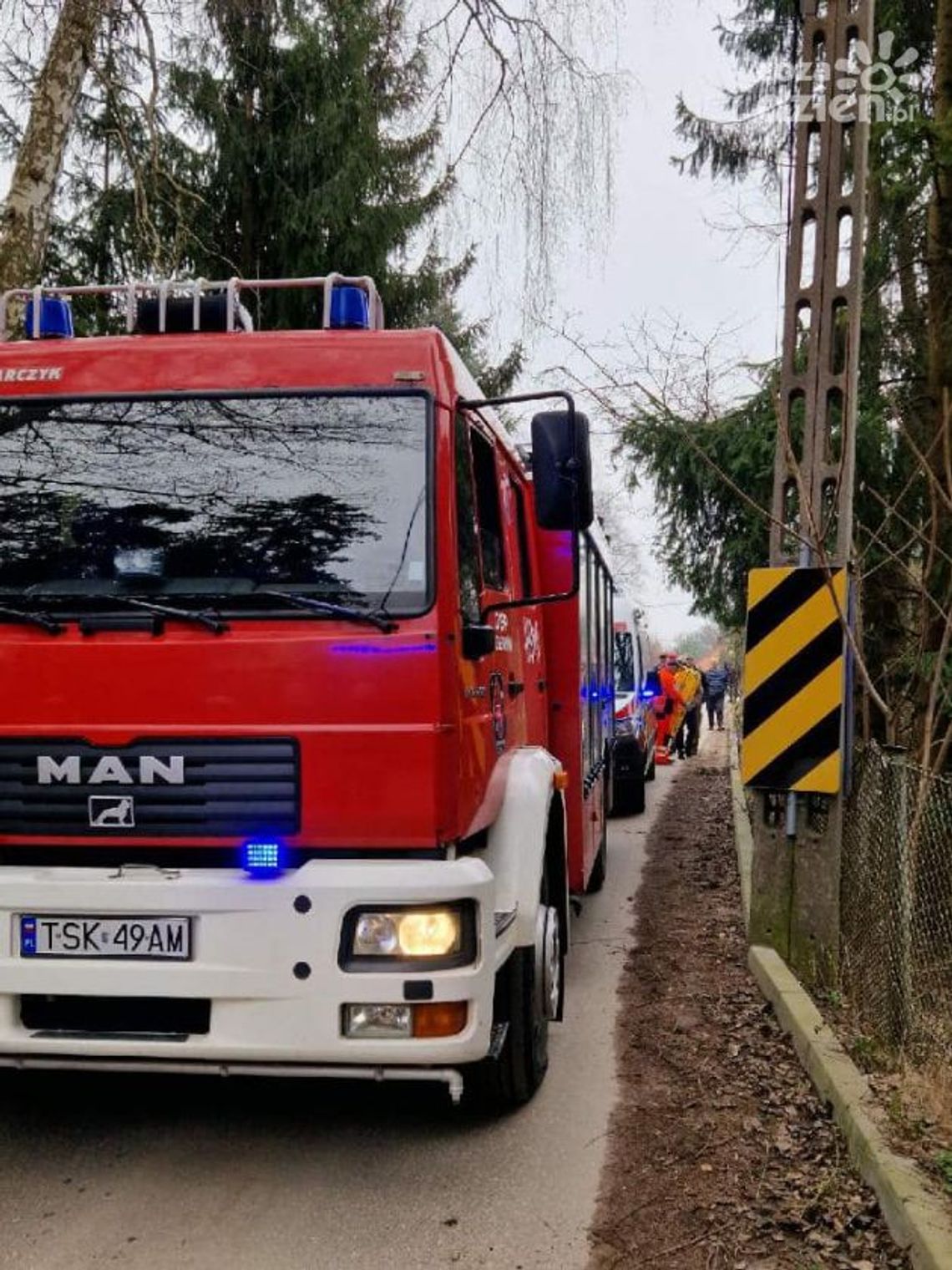 Mężczyznę przygniotło drzewo Mężczyznę przygniotło drzewo