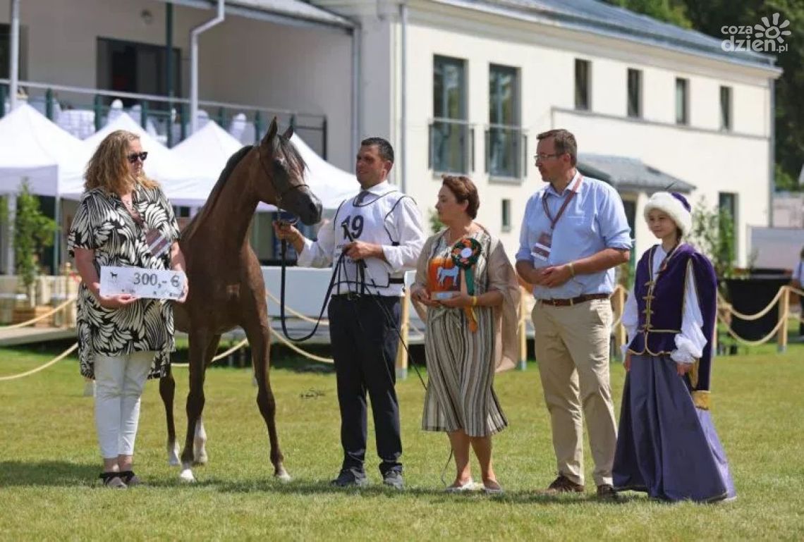 Michałów świętuje sukcesy podczas Dni Konia Arabskiego 2025 Michałów świętuje sukcesy podczas Dni Konia Arabskiego 2025