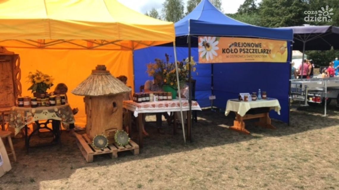 Międzynarodowy zasięg bałtowskiego Święta Pszczoły Międzynarodowy zasięg bałtowskiego Święta Pszczoły