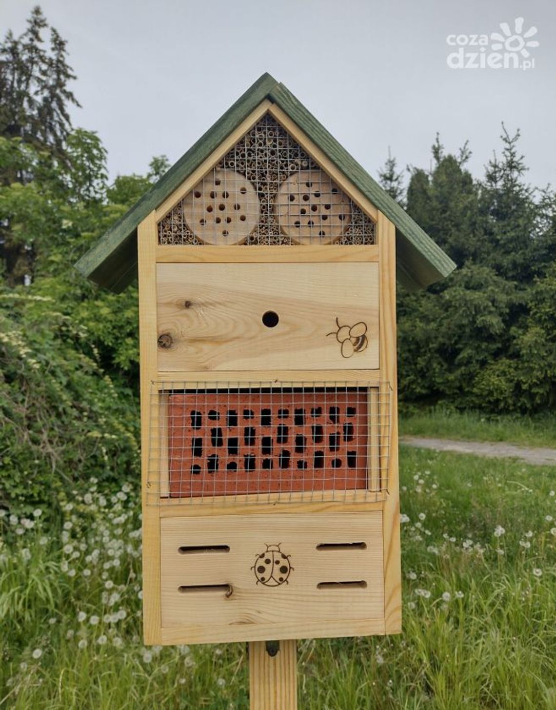 Miejskie skwery z hotelami… dla owadów Miejskie skwery z hotelami… dla owadów