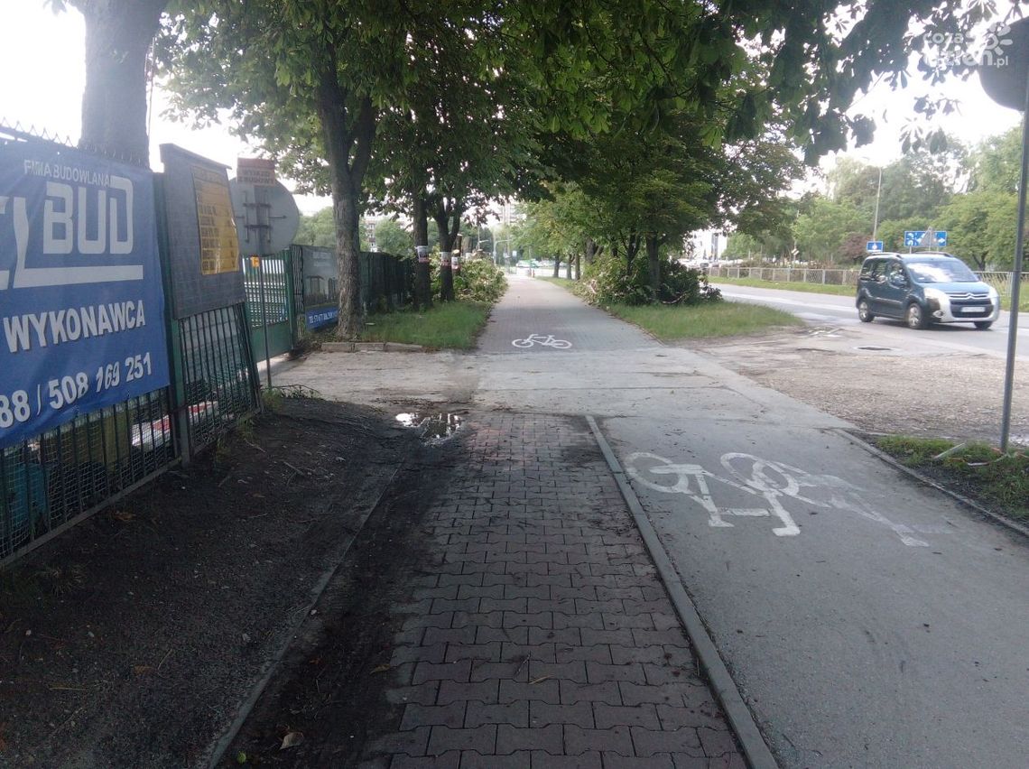 Mieszkańcy Kielc są oburzeni wycinką kasztanowców przy ulicy Bohaterów Warszawy Mieszkańcy Kielc są oburzeni wycinką kasztanowców przy ulicy Bohaterów Warszawy