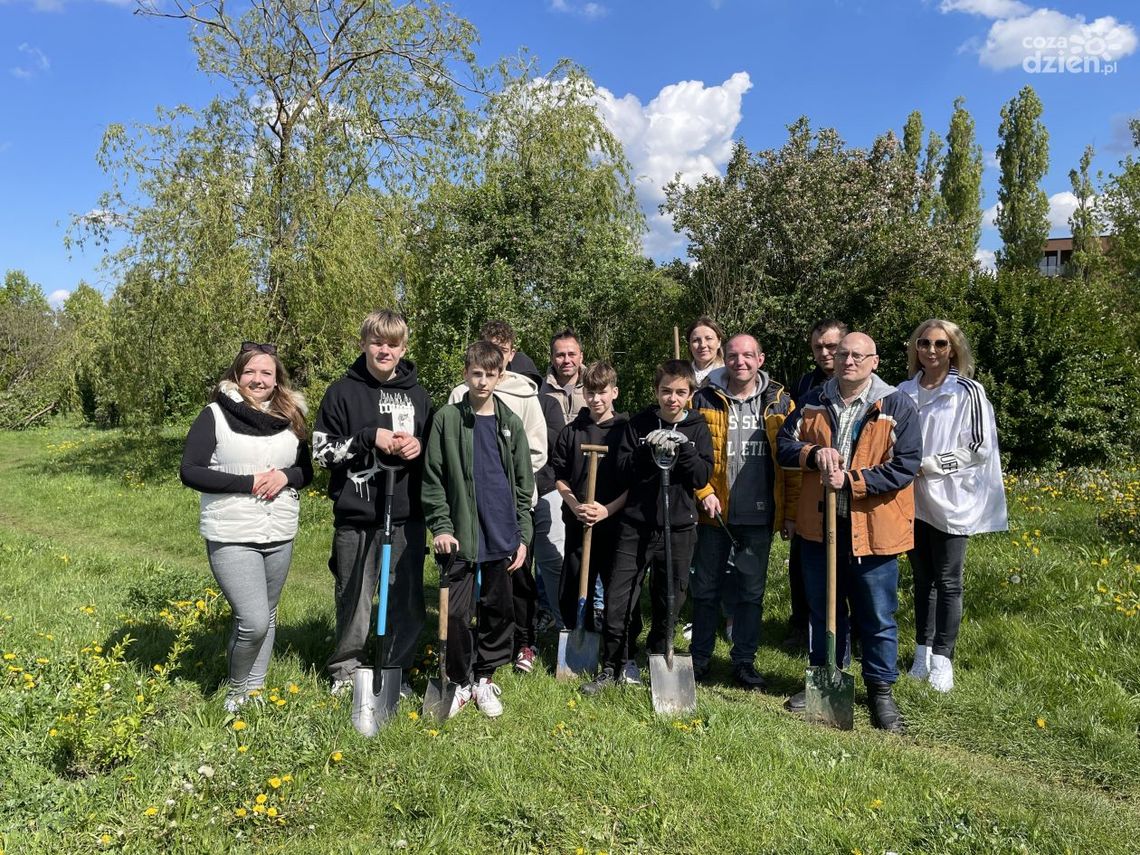 Mieszkańcy zasadzili krzewy w Parku Czarnowskim Mieszkańcy zasadzili krzewy w Parku Czarnowskim
